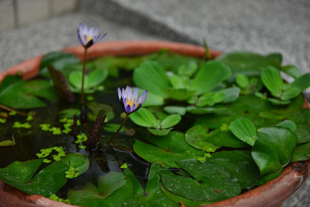 花蓮快樂腳旅宿 Hualien City Εξωτερικό φωτογραφία